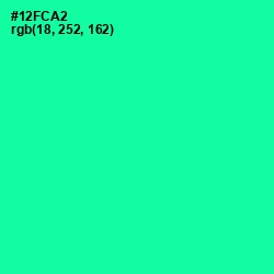 #12FCA2 - Caribbean Green Color Image