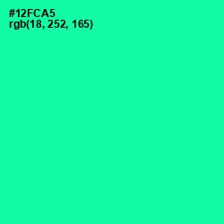 #12FCA5 - Caribbean Green Color Image