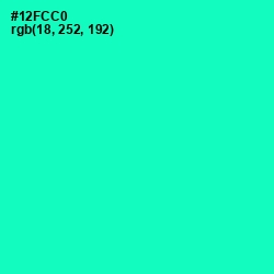 #12FCC0 - Bright Turquoise Color Image