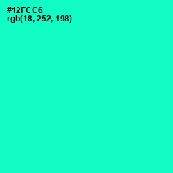 #12FCC6 - Bright Turquoise Color Image