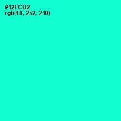 #12FCD2 - Bright Turquoise Color Image