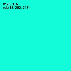 #12FCDA - Bright Turquoise Color Image