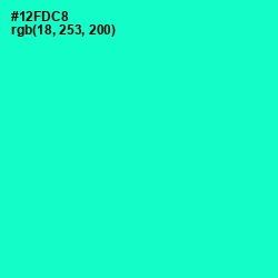 #12FDC8 - Bright Turquoise Color Image