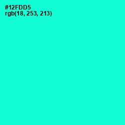 #12FDD5 - Bright Turquoise Color Image