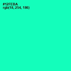 #12FEBA - Caribbean Green Color Image