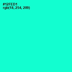 #12FED1 - Bright Turquoise Color Image