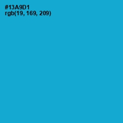 #13A9D1 - Cerulean Color Image