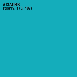#13ADBB - Eastern Blue Color Image