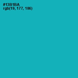 #13B1BA - Eastern Blue Color Image