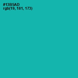 #13B5AD - Eastern Blue Color Image