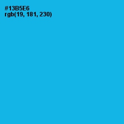 #13B5E6 - Cerulean Color Image