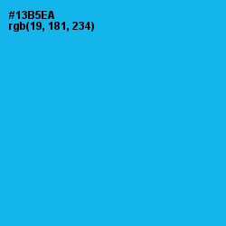 #13B5EA - Cerulean Color Image