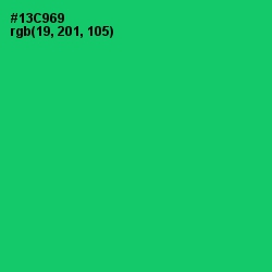 #13C969 - Malachite Color Image