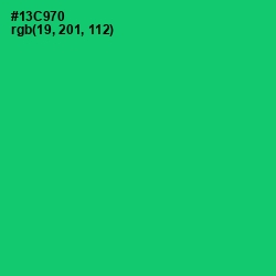 #13C970 - Malachite Color Image