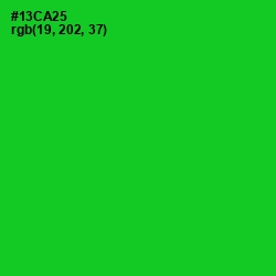 #13CA25 - Green Color Image