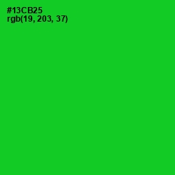 #13CB25 - Green Color Image