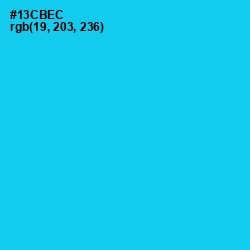 #13CBEC - Bright Turquoise Color Image