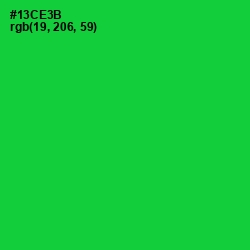 #13CE3B - Green Color Image