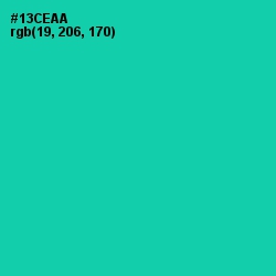 #13CEAA - Caribbean Green Color Image