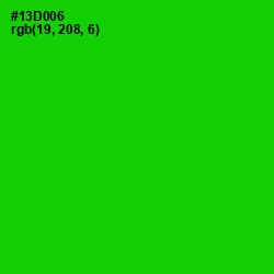 #13D006 - Green Color Image