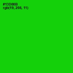 #13D00B - Green Color Image