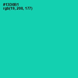 #13D0B1 - Caribbean Green Color Image