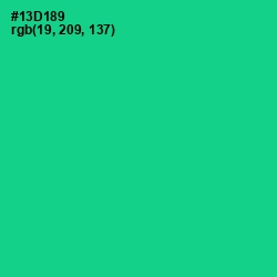 #13D189 - Caribbean Green Color Image