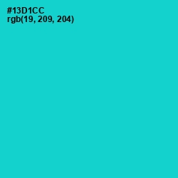 #13D1CC - Robin's Egg Blue Color Image