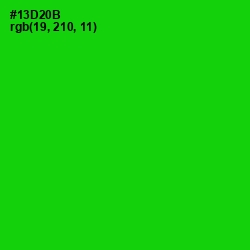 #13D20B - Green Color Image