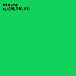 #13D25B - Malachite Color Image