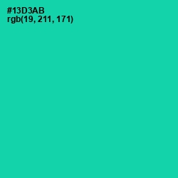 #13D3AB - Caribbean Green Color Image