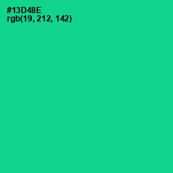 #13D48E - Caribbean Green Color Image