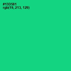 #13D581 - Caribbean Green Color Image