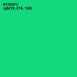 #13D87C - Spring Green Color Image