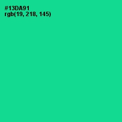 #13DA91 - Caribbean Green Color Image