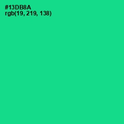 #13DB8A - Caribbean Green Color Image