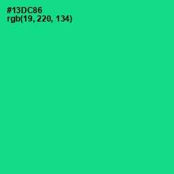 #13DC86 - Caribbean Green Color Image