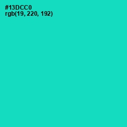 #13DCC0 - Robin's Egg Blue Color Image