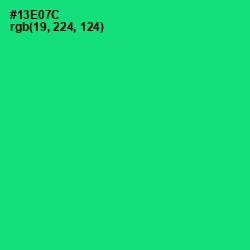 #13E07C - Spring Green Color Image