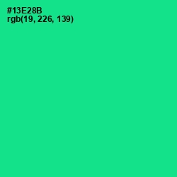 #13E28B - Caribbean Green Color Image