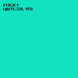 #13E2C1 - Bright Turquoise Color Image