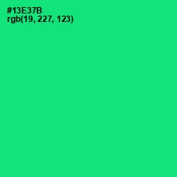 #13E37B - Spring Green Color Image
