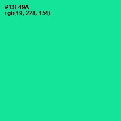 #13E49A - Caribbean Green Color Image