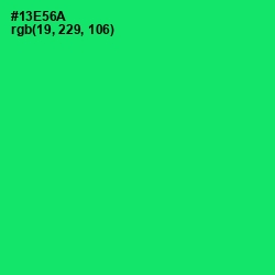 #13E56A - Spring Green Color Image