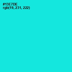 #13E7DE - Bright Turquoise Color Image