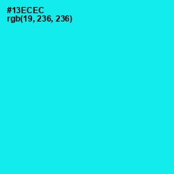 #13ECEC - Cyan / Aqua Color Image