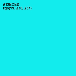 #13ECED - Cyan / Aqua Color Image