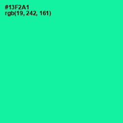 #13F2A1 - Caribbean Green Color Image