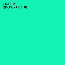 #13F2B4 - Caribbean Green Color Image