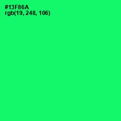 #13F86A - Spring Green Color Image